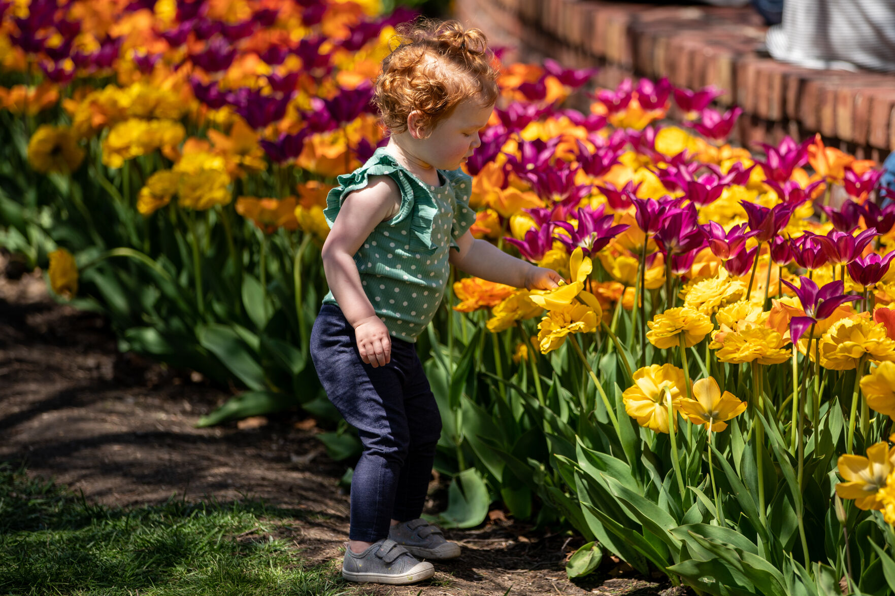 87th Pella Tulip Time